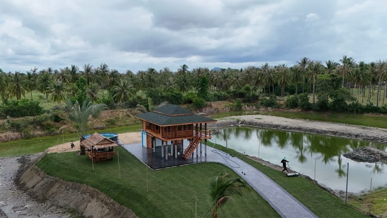 The green grounds and young palms at The Nine, Kui Buri